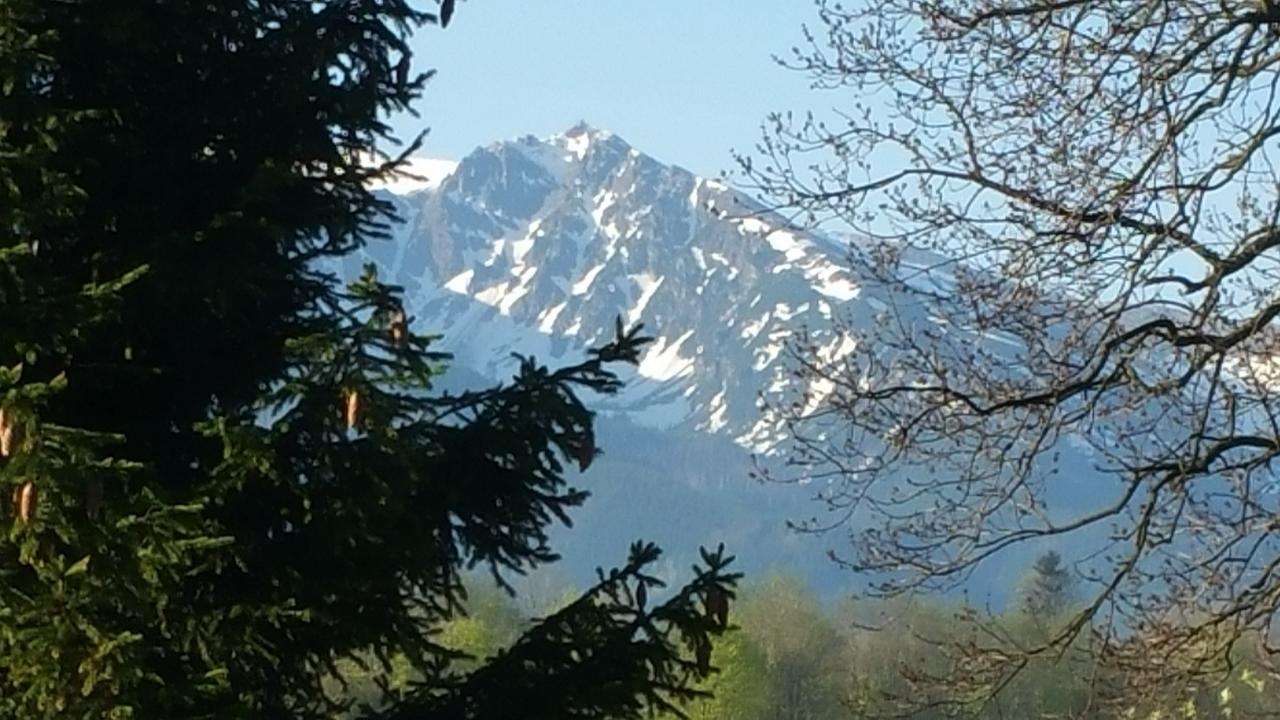 Camping Harenda Pokoje Gościnne i Domki Zakopane Eksteriør bilde