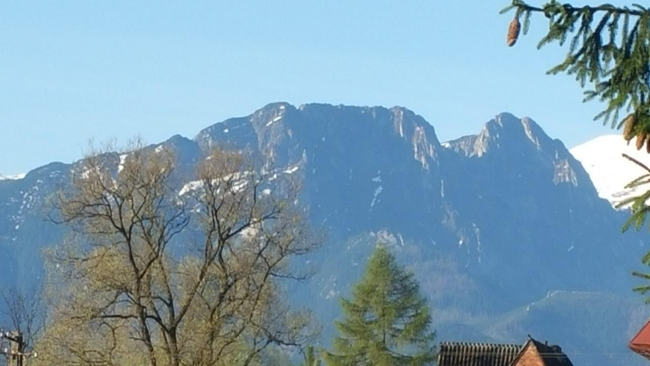 Camping Harenda Pokoje Gościnne i Domki Zakopane Eksteriør bilde