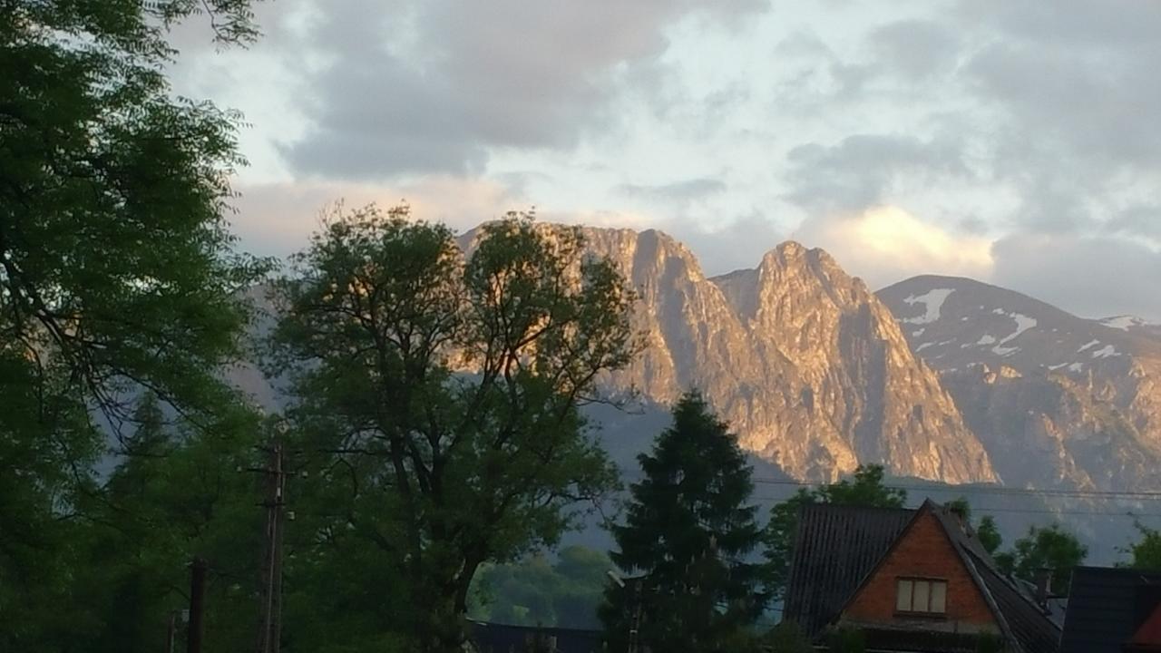 Camping Harenda Pokoje Gościnne i Domki Zakopane Eksteriør bilde
