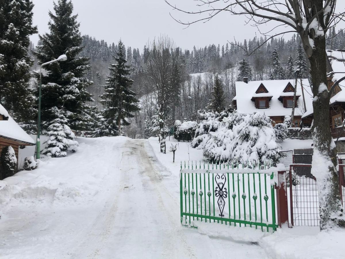 Camping Harenda Pokoje Gościnne i Domki Zakopane Eksteriør bilde